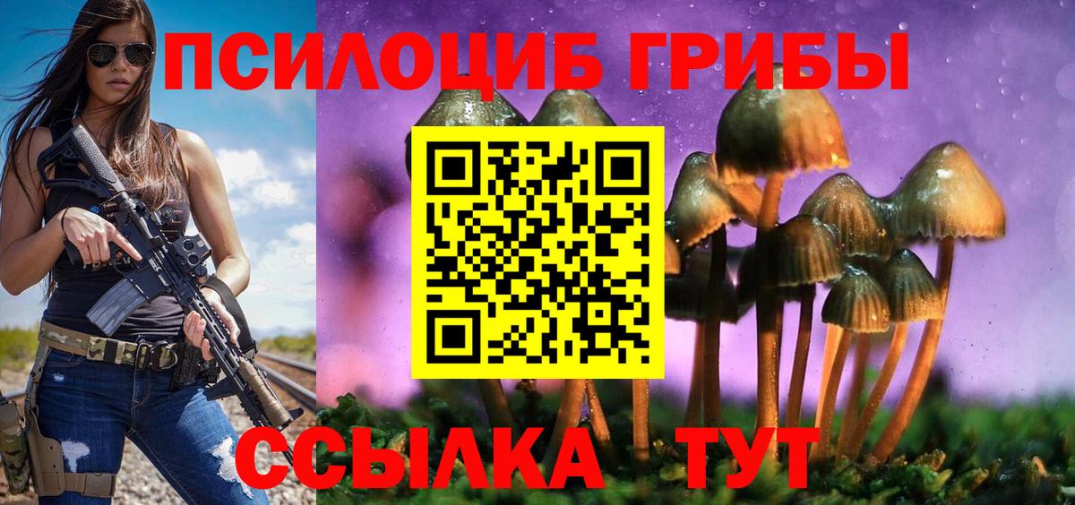 Переславль-Залесский  Псилоцибиновые грибы прущие грибы  Вход с VPN 